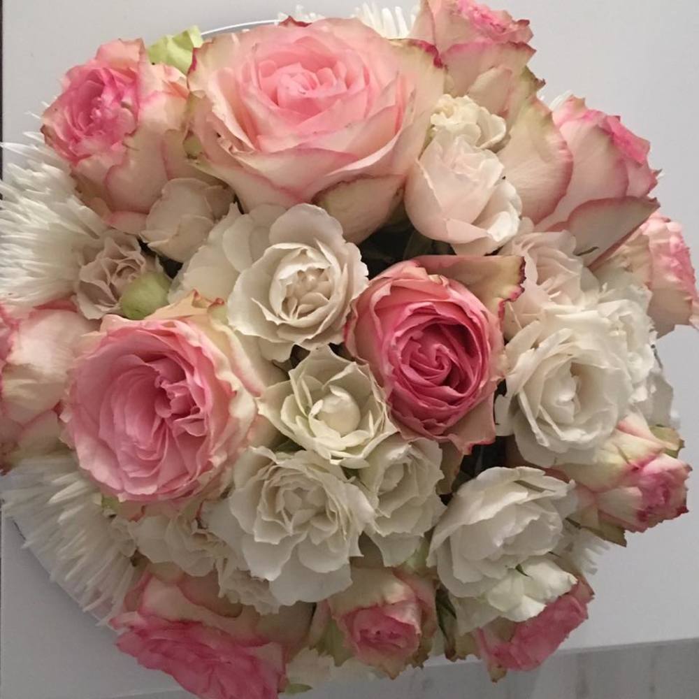 Meet your Posher, Evelina